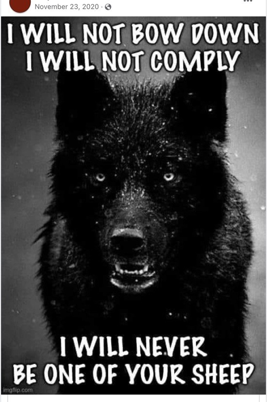 Anti-vaxx Chronicles: He was a Trump-loving, Fauci-fearing wolf—and a walking comorbidity 7