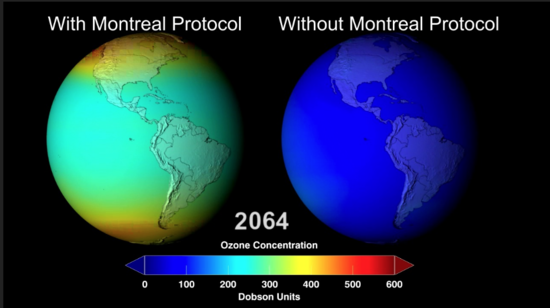 53rd Earth Day offers a moment to celebrate environmental victories despite our many eco-crises 3