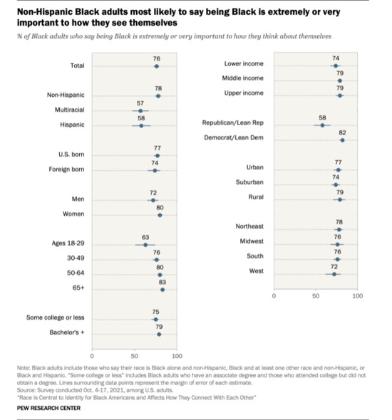 Abbreviated Pundit Roundup: Black in America, Disinformation Wars, and the French election 3