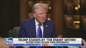 Trump Unravels: Nancy Pelosi Is The Enemy Within 9