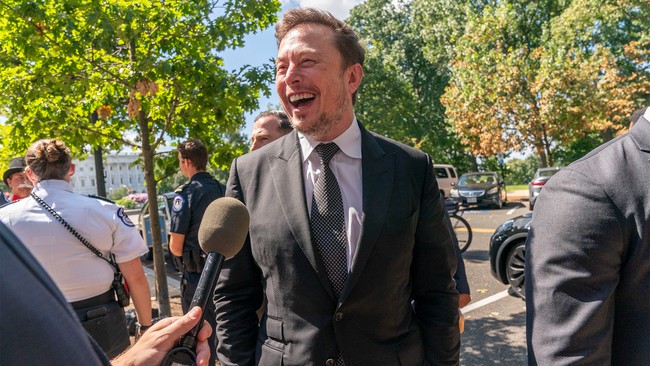 Threat to German Democracy Alert: 'Won't Anyone Rid Us of This Troublesome Musk?' 1