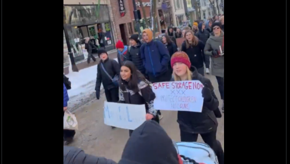 Madison Students March To The Capitol For Gun Safety 1