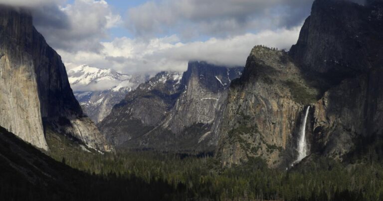 National park visits hit record high last year, agency reports as it endures deep cuts 9