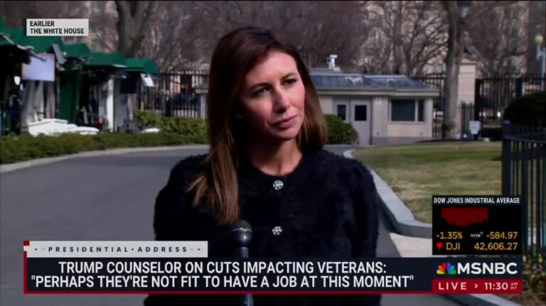 Alina Habba Bashes Veterans Fired From Government Jobs: 'Not Fit To Have Job' 2