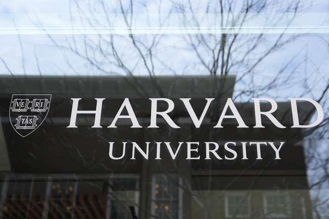 The Ivy League Hoodlums Are Getting What They Deserve 1 The Ivy League Hoodlums Are Getting What They Deserve 1