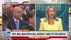 Paid Liar Bullsh*t Barbie Puts Incredible Spin On Moody's Downgrade 7