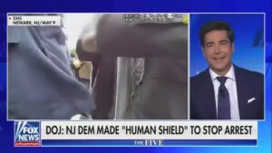 'A Dream Come True': Jesse Watters Giddy Over Dem Getting Arrested 2