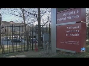 Who Needs The National Cancer Hotline? 1