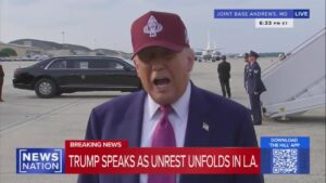 Is Trump Paying The Los Angeles Protestors? 7
