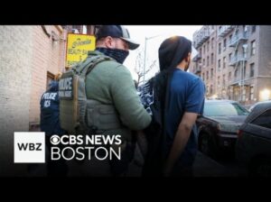 ICE Director Claims Agents Wear Masks Because They Are Being Doxxed 2