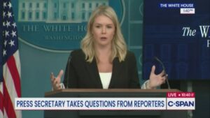 Shorter Leavitt: Bondi Didn't Say What Everyone Heard Her Say 9