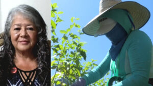 "Farmworkers’ Voices Are Not Being Heard": UFW President Teresa Romero on ICE Raids & Workers’ Lives 19