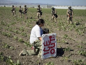 About That Farm Raid the Democrats Are So Angry About... 21