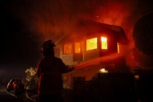 Y'All Got Took: There Was Never Going to Be Any 'Rebuilt' Pacific Palisades 25