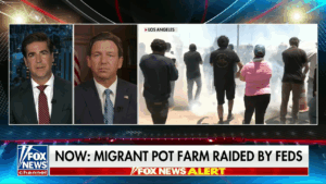 Fox's Watters Wants ICE Agents To 'Knock Some Heads Together' 9