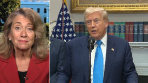 "Total, Random Chaos" of Trump Tariffs Are Not Rebalancing U.S. Trade: Lori Wallach, Rethink Trade 14