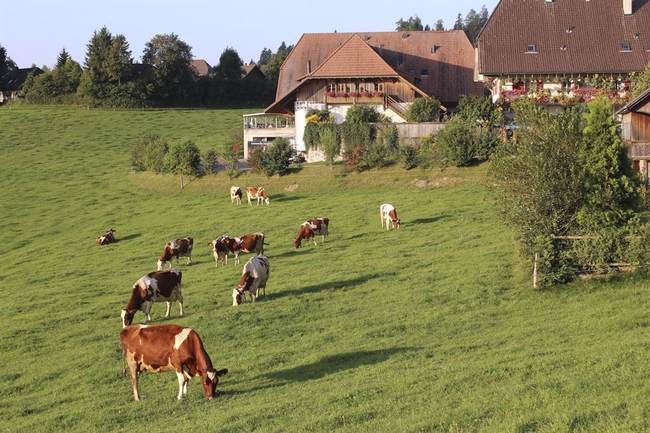 No Truth Allowed in Switzerland Now 1